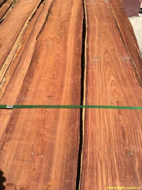 С�~�t̴���R�_��˹���Fľ����