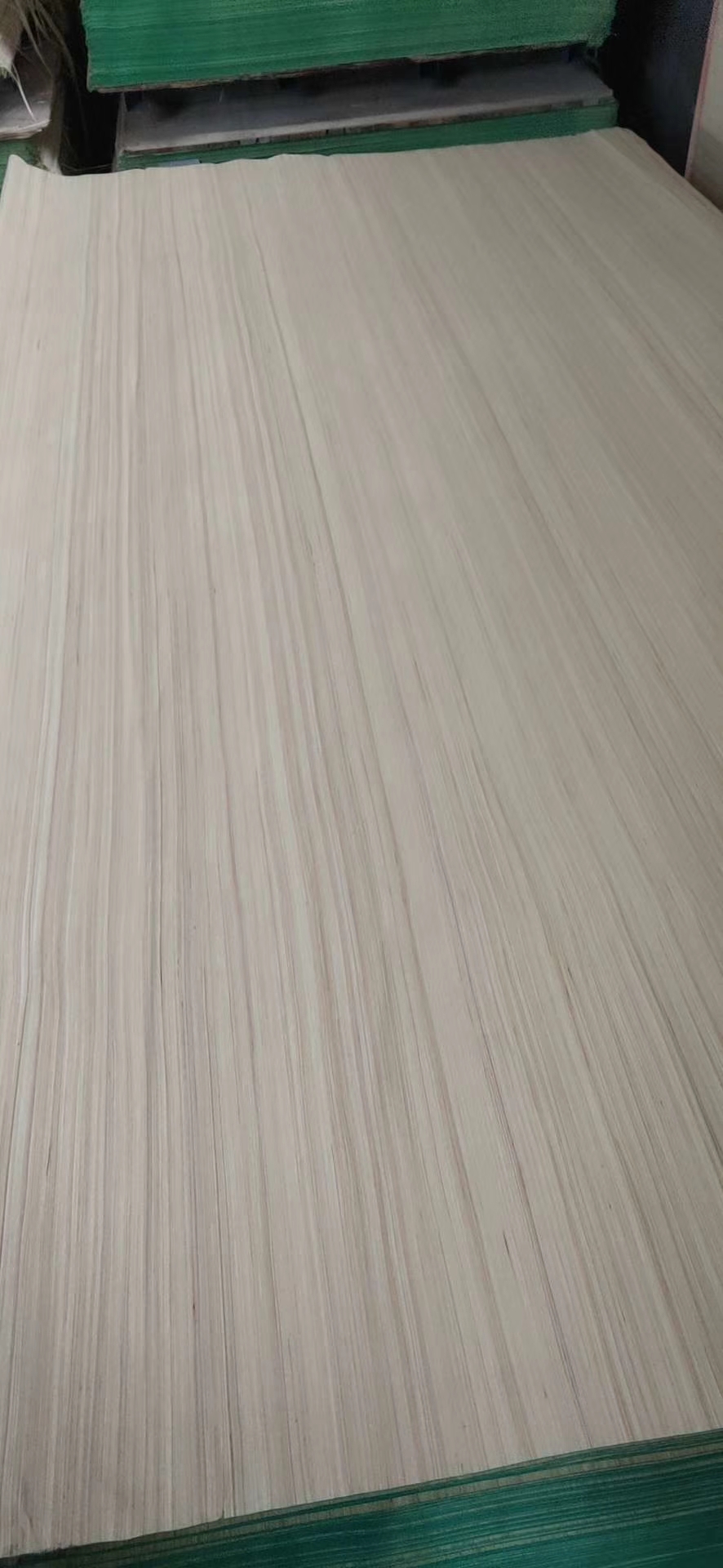 ���ή�������L(zh��ng)�w�S�Ƽ�ľƤ