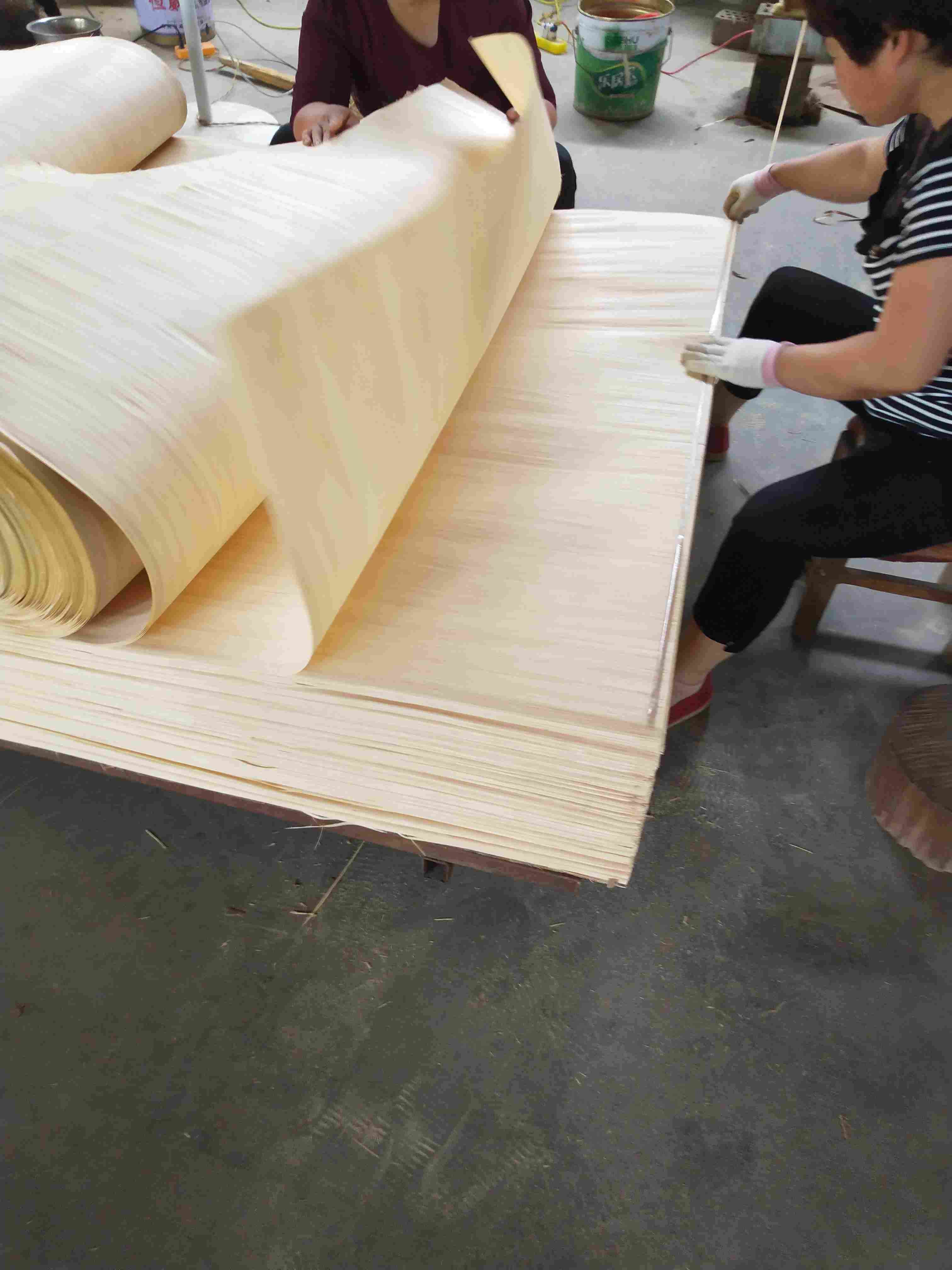 �DƬ1���˷��^