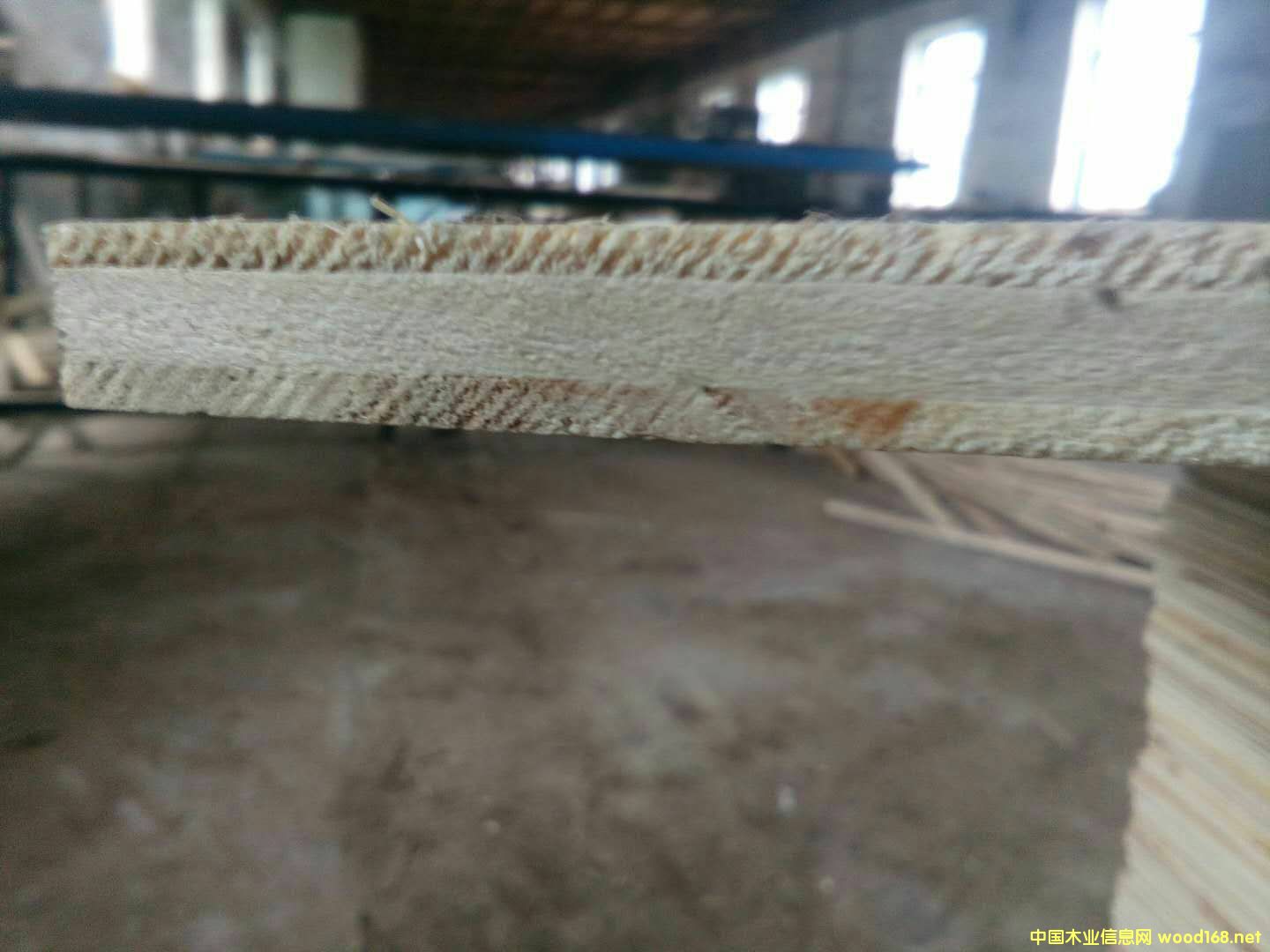 ���ۺ�о��ľо��