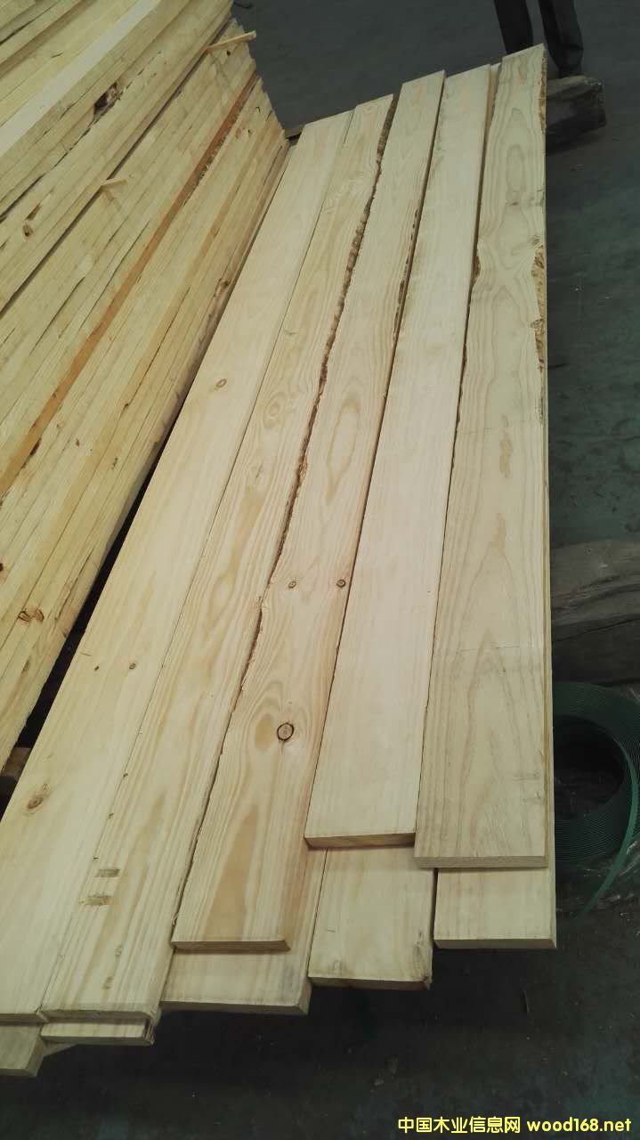 ARAUCO�̵����