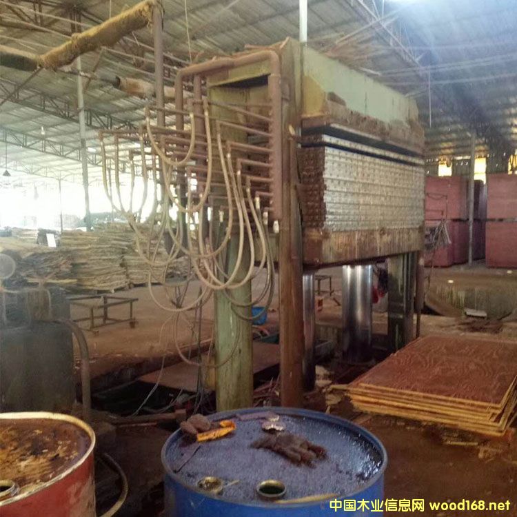 �����݄�(chu��ng)������ʮ��Ӷ���ľ���ቺ�C�DƬ