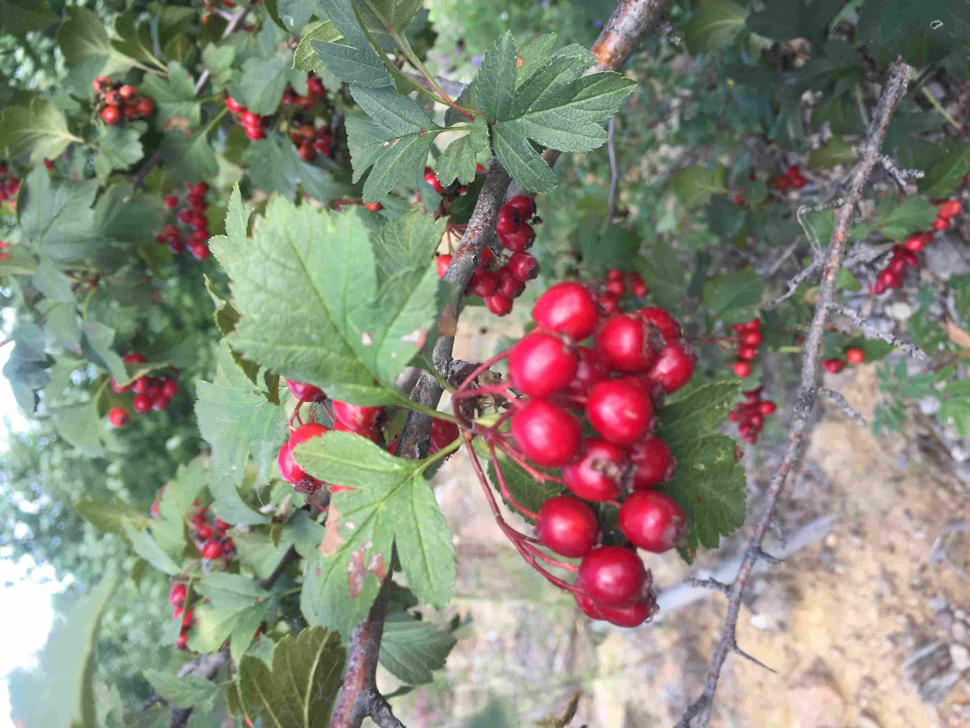 ������������ ë�l