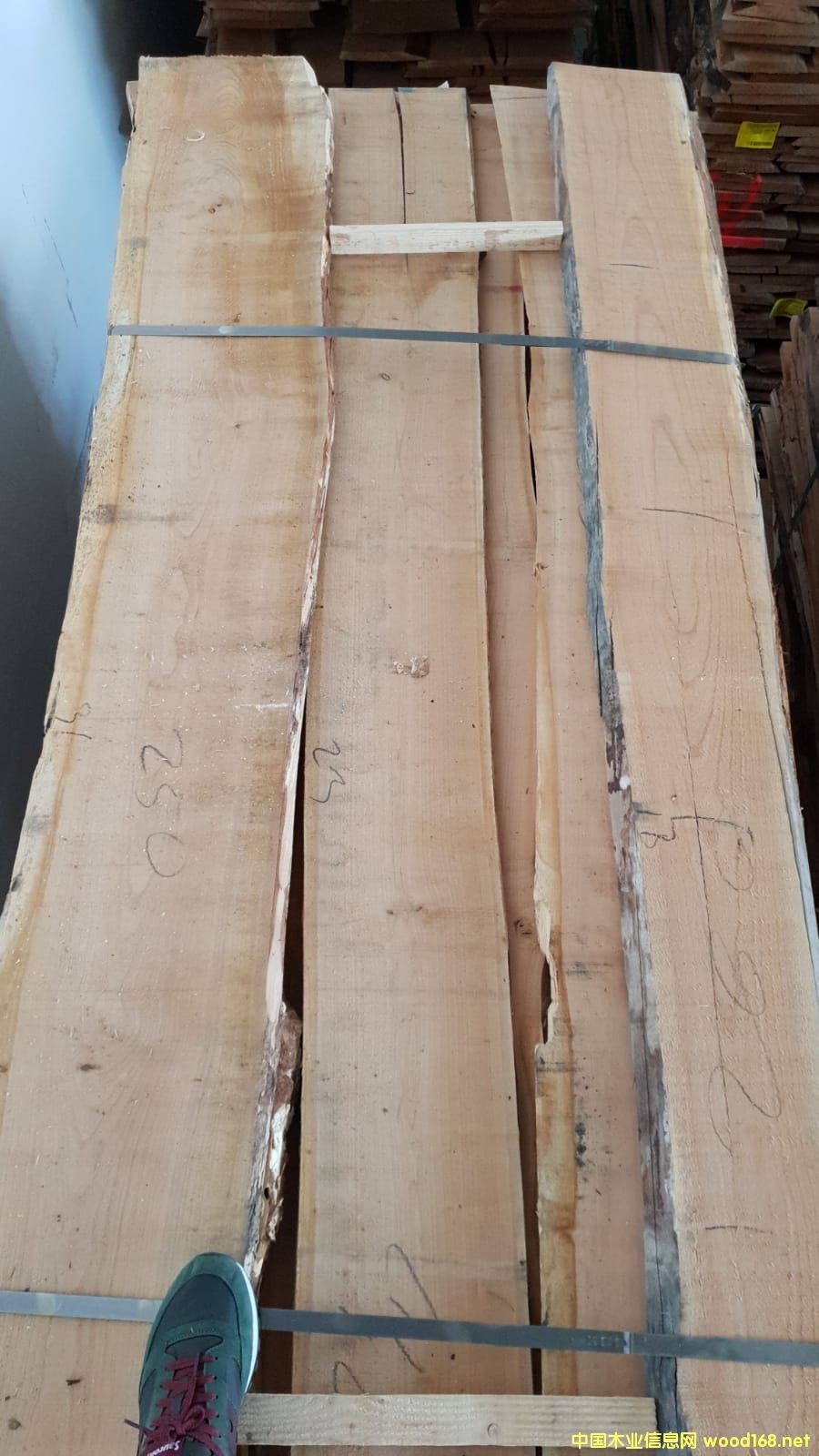 �W�ޙ���ë߅���