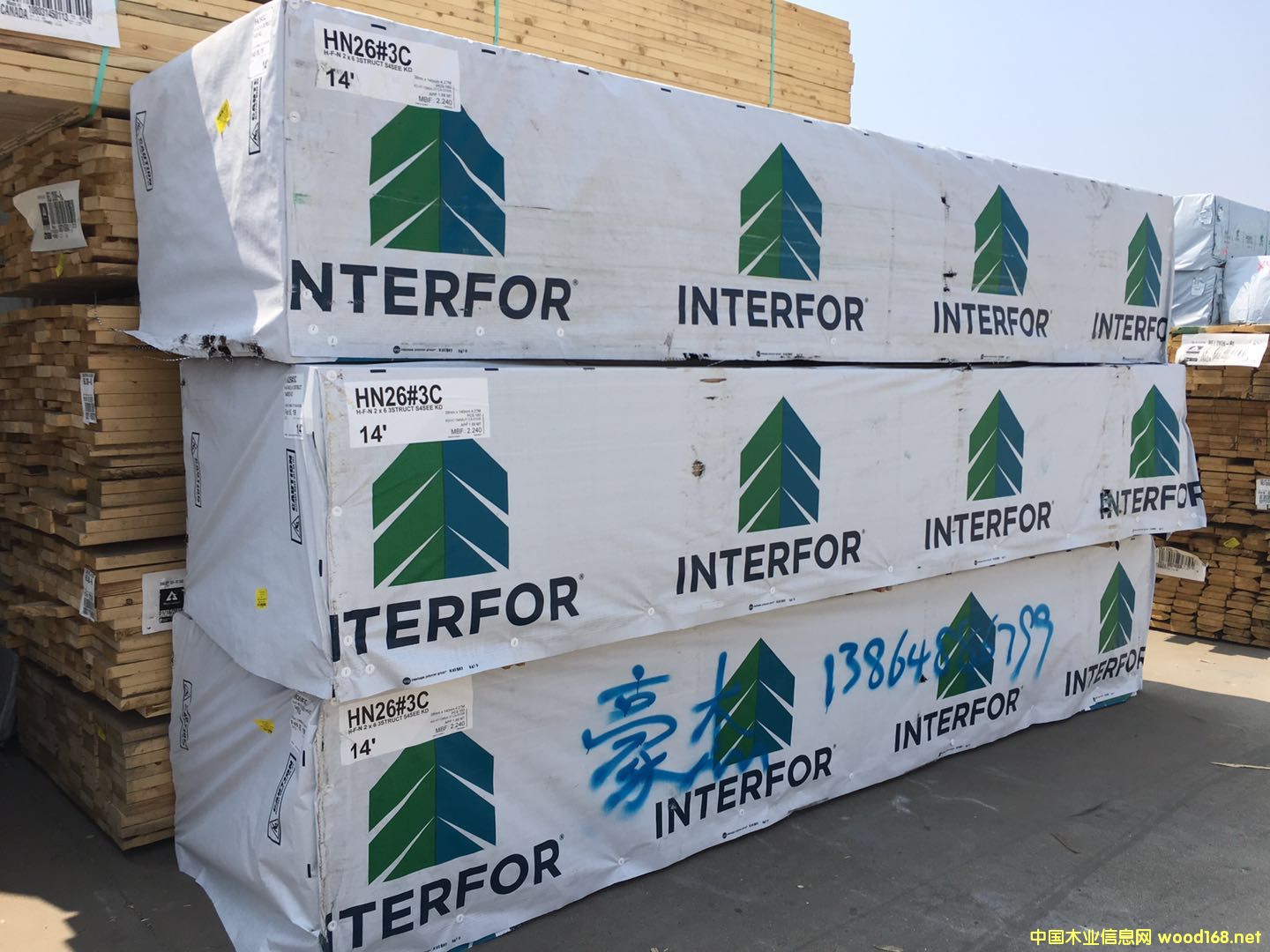 �Fɼ�������