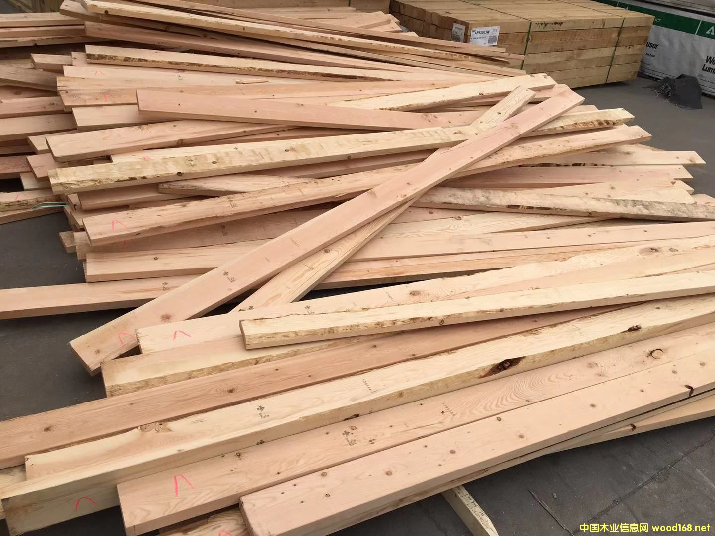 �Fɼ�������(j��)2*6