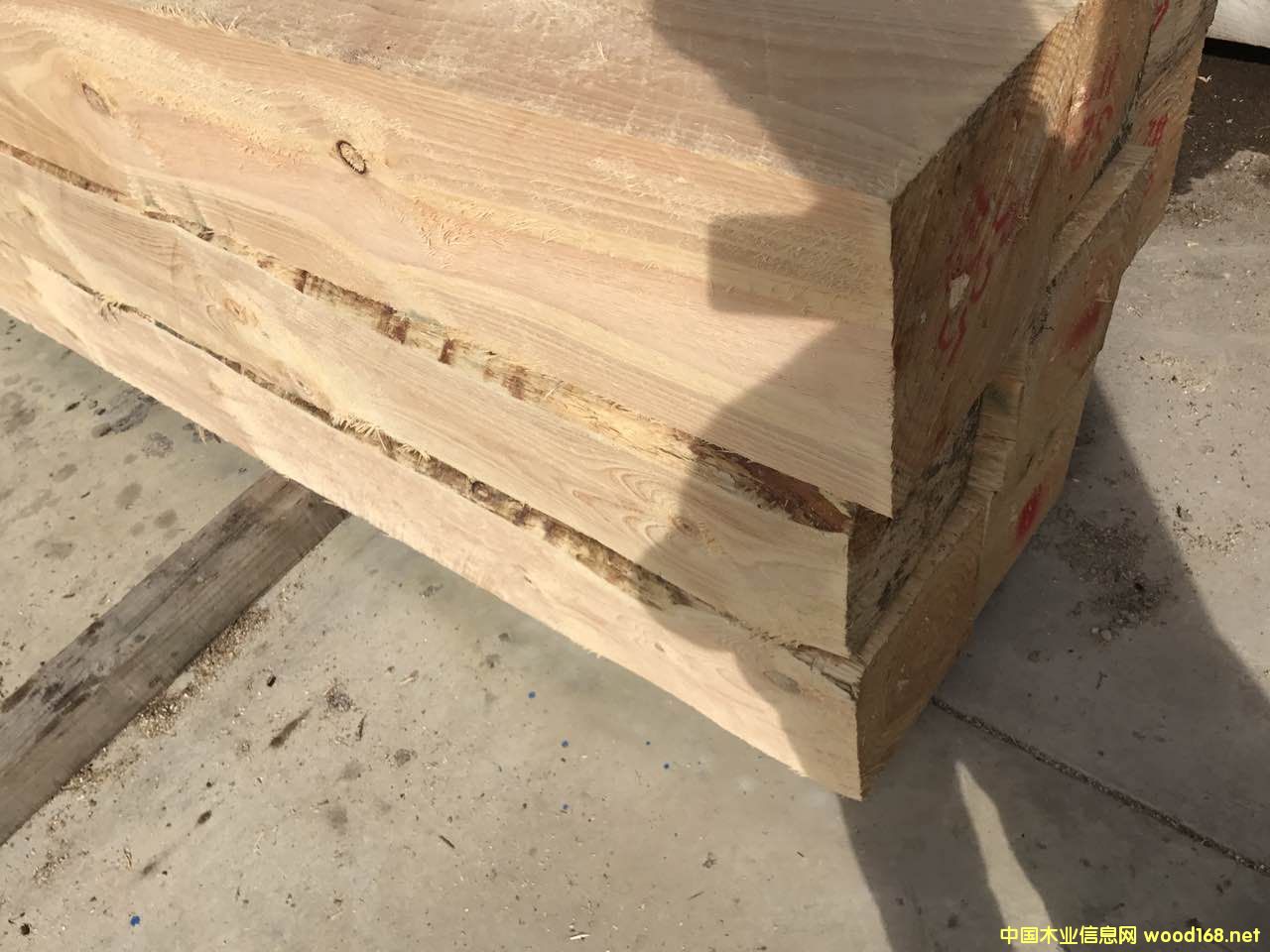 �����mݗ���ɹ��I(y��)��(j��)ľ��