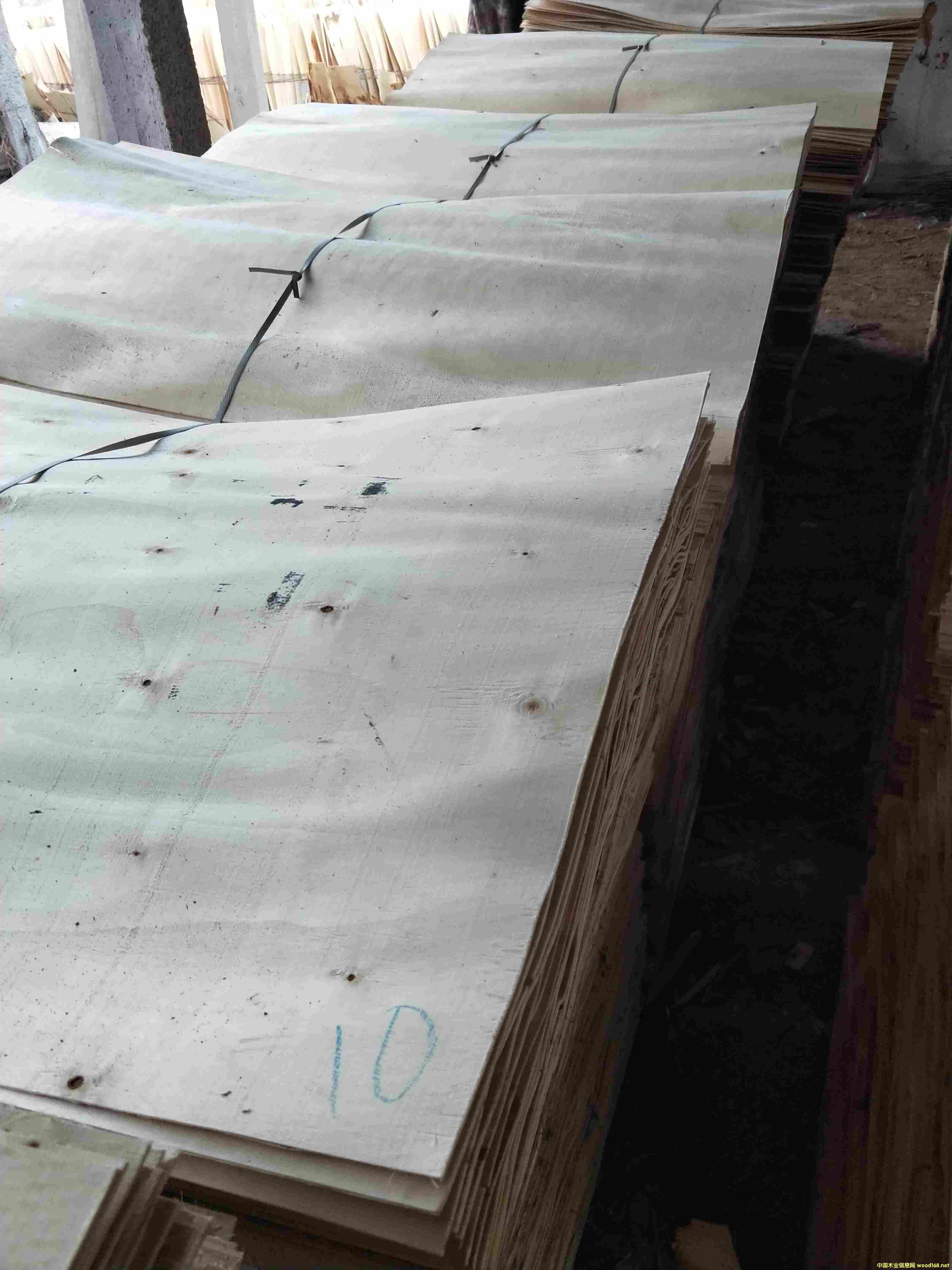 ��ľƤ��Ԕ��(x��)��B