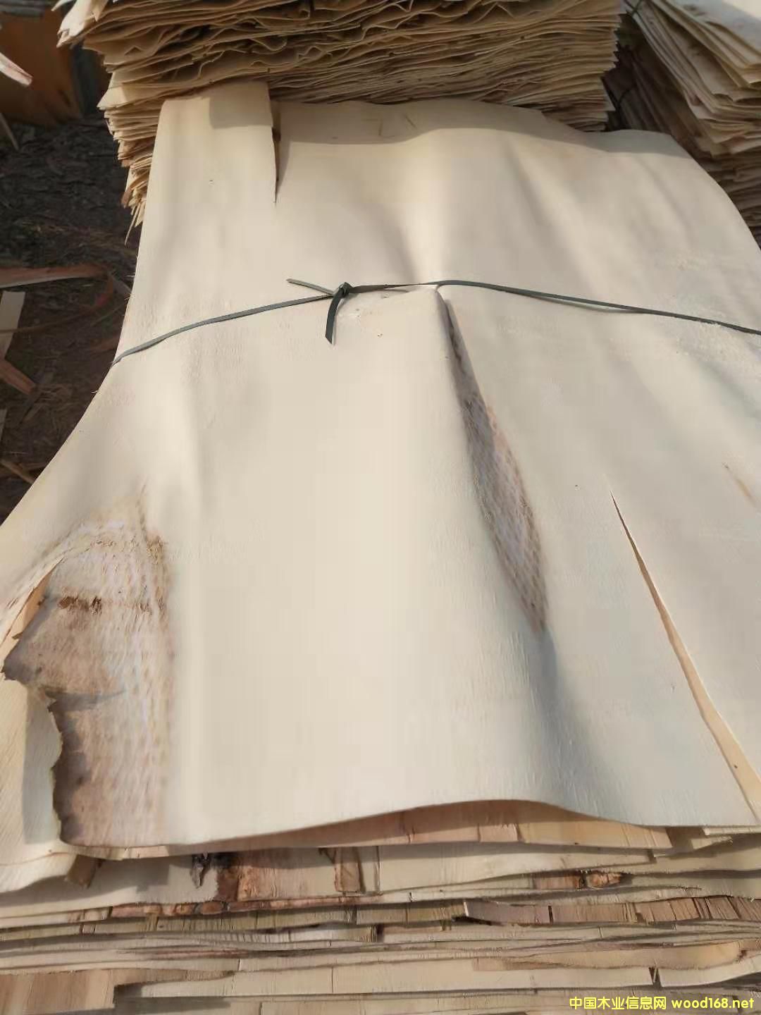 ��ľƤ��Ԕ��(x��)��B