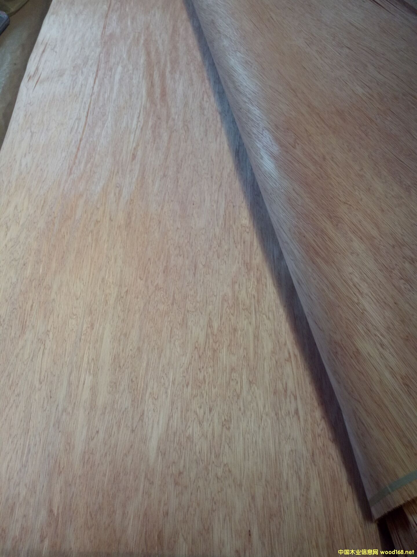 ���ǹ���Ƥ