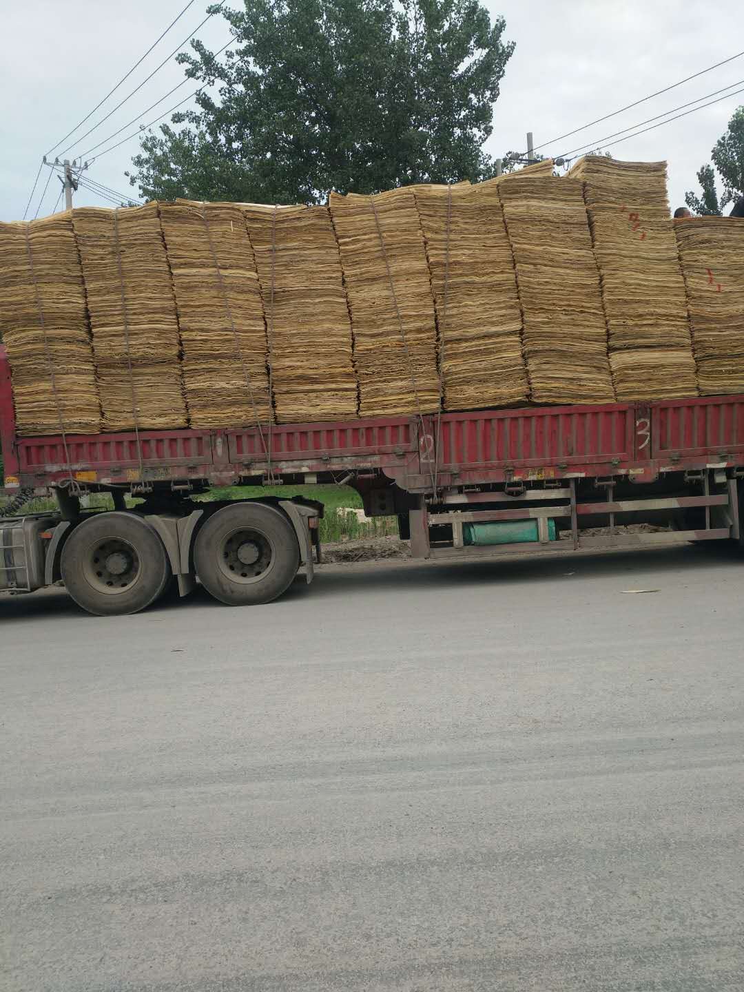 ��ľƤ�ӵ�Ԕ��(x��)��B