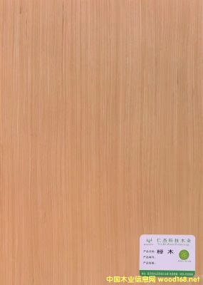  ��Ԕ��(x��)��B