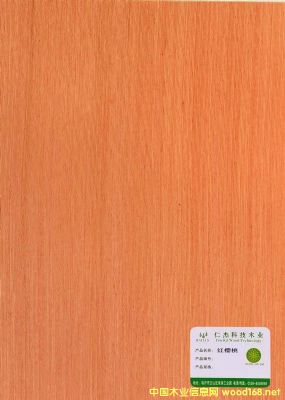  ��Ԕ��(x��)��B