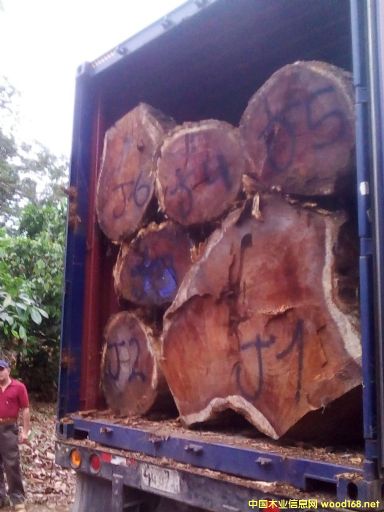 [��] ����(y��ng)�M����˼ľACACIA����ľ����Ϛgľ������˼ľ