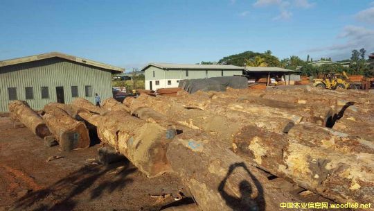 ���(sh��)��Ϛg�Aľ1