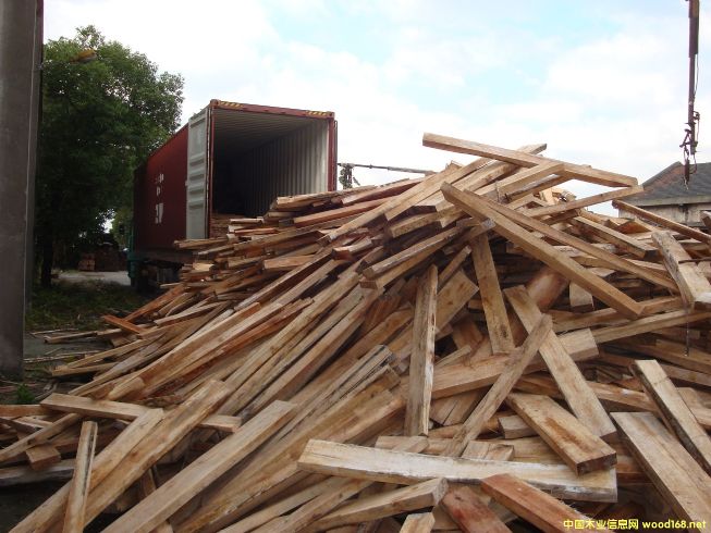 [��] ����(y��ng)�����ľ��ģ��R����ľ����albizia falcata