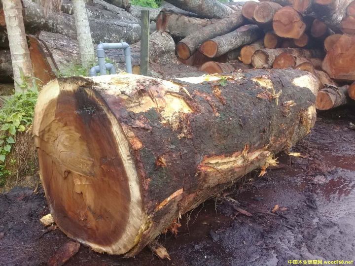 ���(sh��)��Ϛg�Aľ2