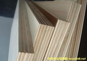  ��Ԕ��(x��)��B