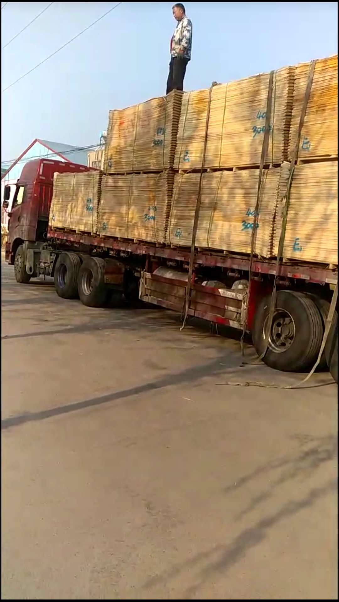  ��Ԕ����B