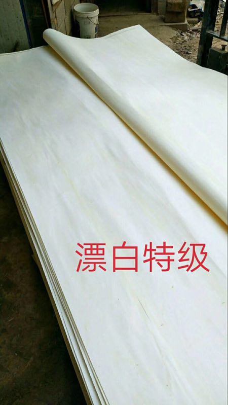 的詳細(xì)介紹