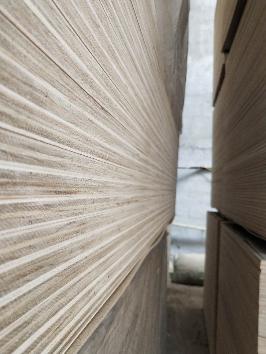  ��Ԕ��(x��)��B