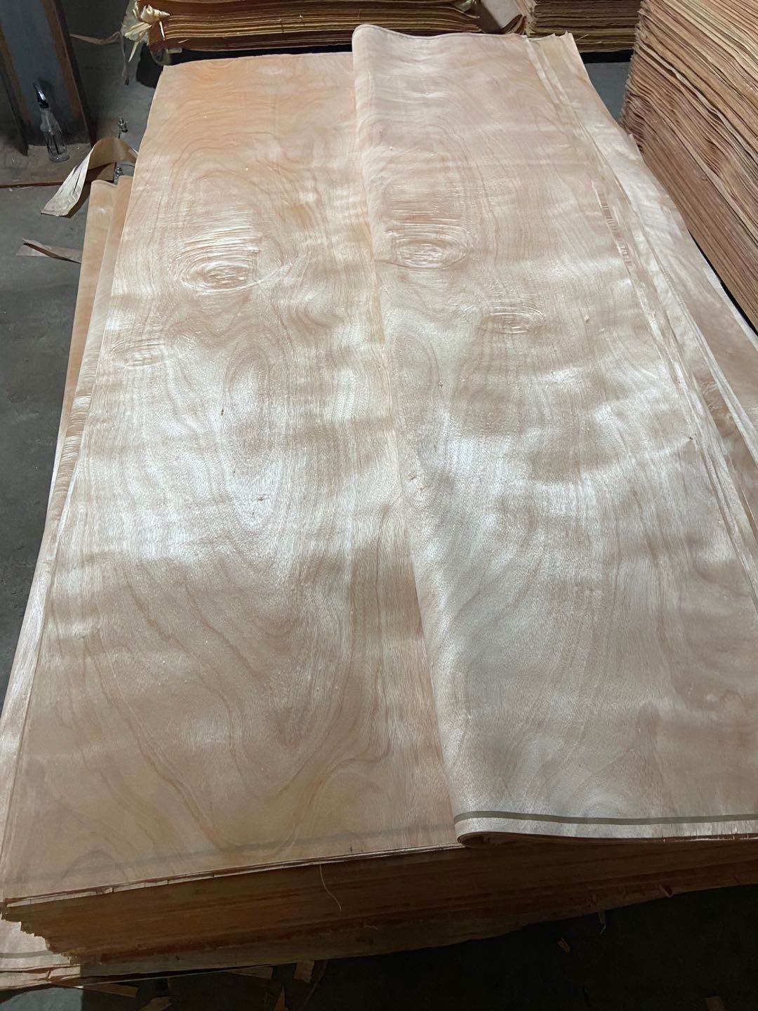 的詳細(xì)介紹