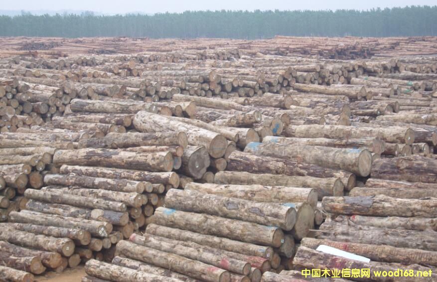 ľ���YԴ���H�l(f��)�����µ�ȫ��ľ�ĺ�ľ�Įa(ch��n)Ʒ�Ј�(ch��ng)��(b��o)��