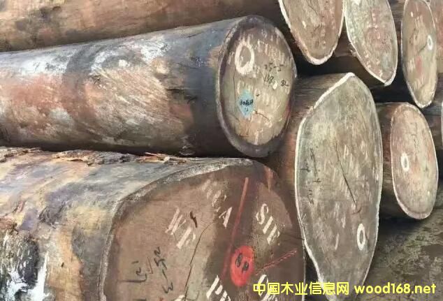 ɳ����ľ���Ј�(ch��ng)�����{(di��o)�飺�̼ҟo�������� �Ј�(ch��ng)�r(ji��)��߀���^�m(x��)�µ�