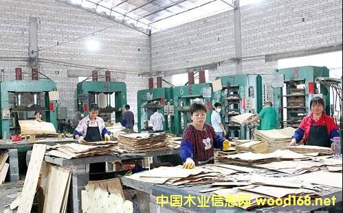 �R�ʰ����I(y��)�������Ƶĕr(sh��)�򣿏V���F���ǂ�(g��)���x����