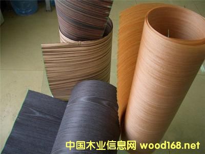 ȫ��Ƽ�ľ�Ј����L���^��2022�ꌢ�_(d��)413�|��Ԫ