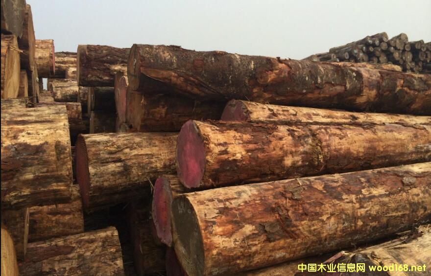 ��(y��u)�|(zh��)�o�{(l��n)׃ݗ���Ɏ��漱�������������_����؛ģʽ