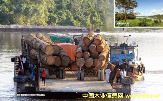 ���Hľ�Įa(ch��n)�I(y��)�@Ѳҕ֮---����FMC�Ҿ����a(ch��n)�N�ۼ�ɢ��