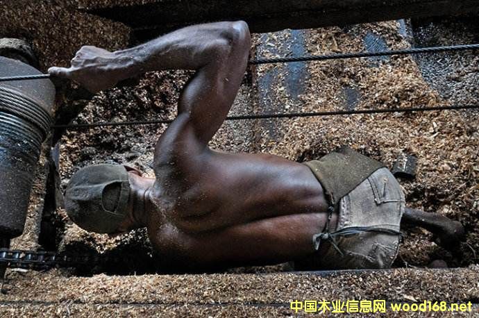 �Ϸ��Ј�ľ�Ď�����^��