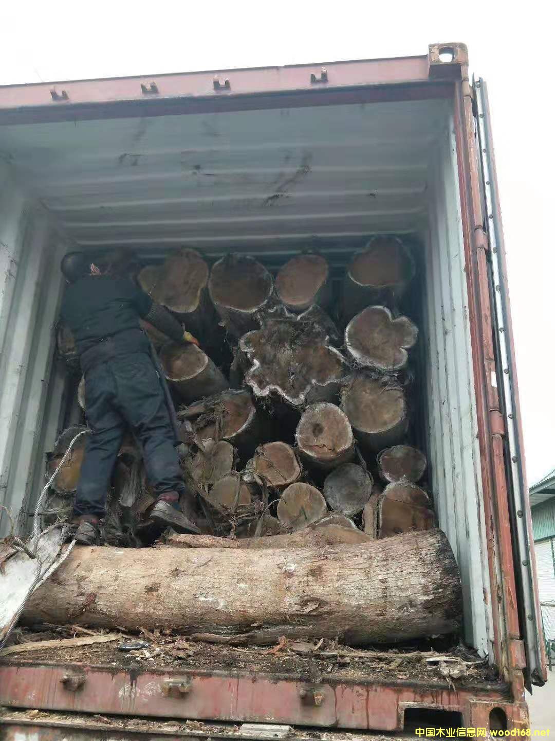 ���ڴ��~��˼ԭľ1