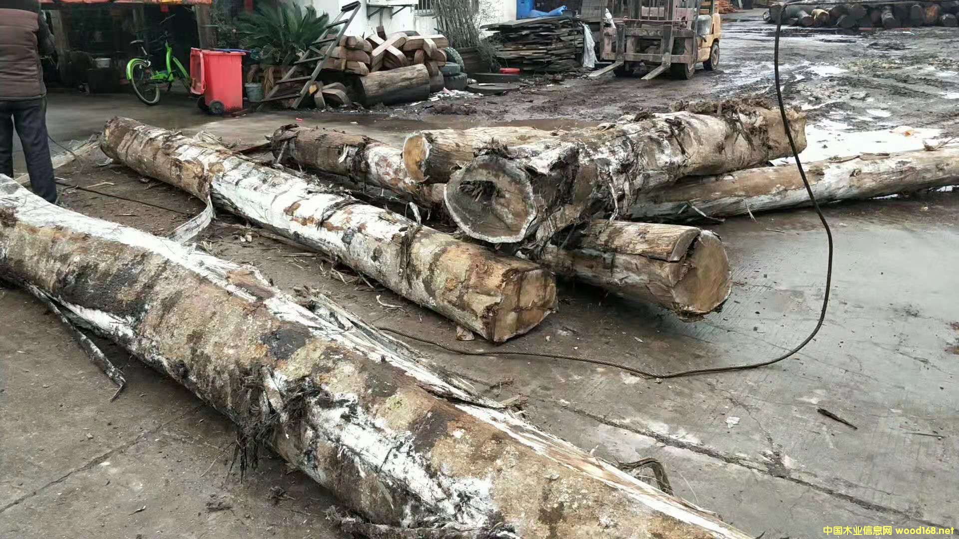 ���ڴ��~��˼ԭľ2