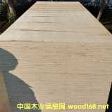 ���u��ďS�Ұ��b�z�ϰ���b��S��