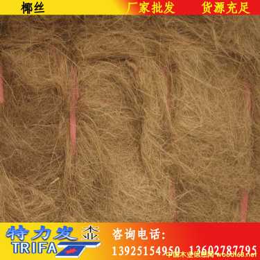 Ҭ�z��Ԕ��(x��)��B