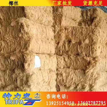 Ҭ�z��Ԕ��(x��)��B