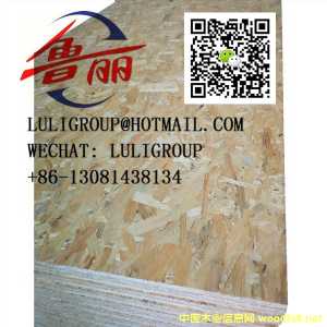 OSB�����ٻ���