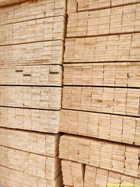 ���_˹���ɰ��