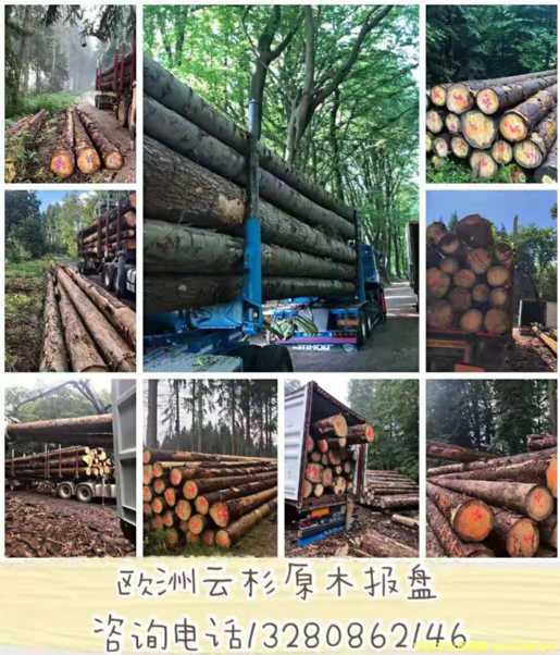 �W����ɼԭľ