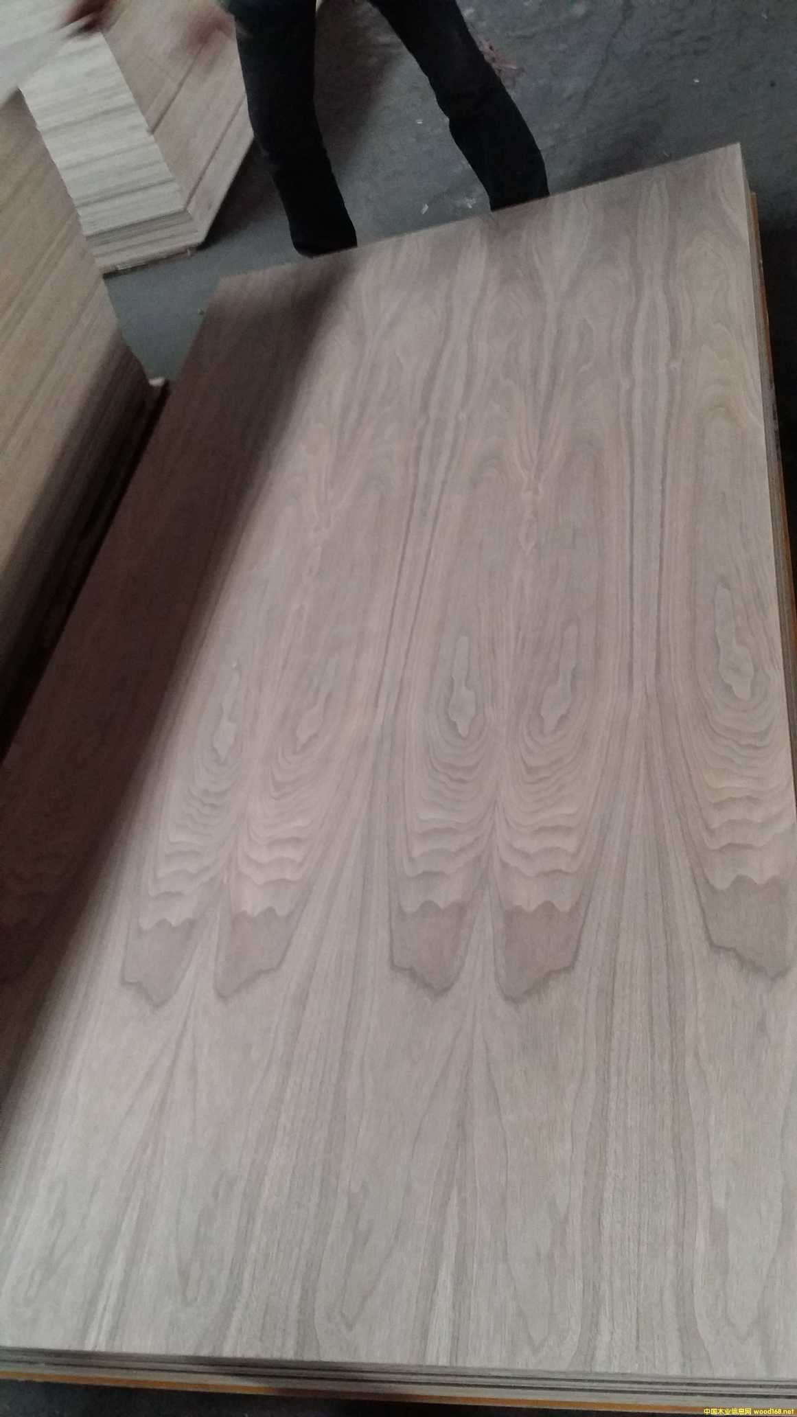 �ں����z�ϰ�