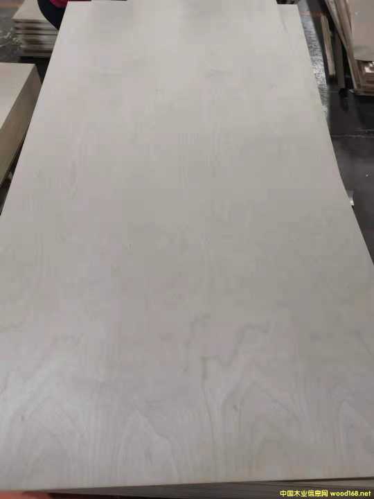 ȫ��ľ�z�ϰ�