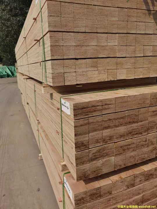 ���͙C(j��)е���b����Ѭ��ľ��