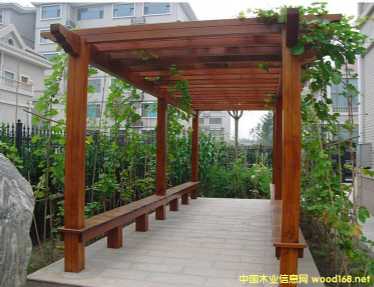 ����ľ����