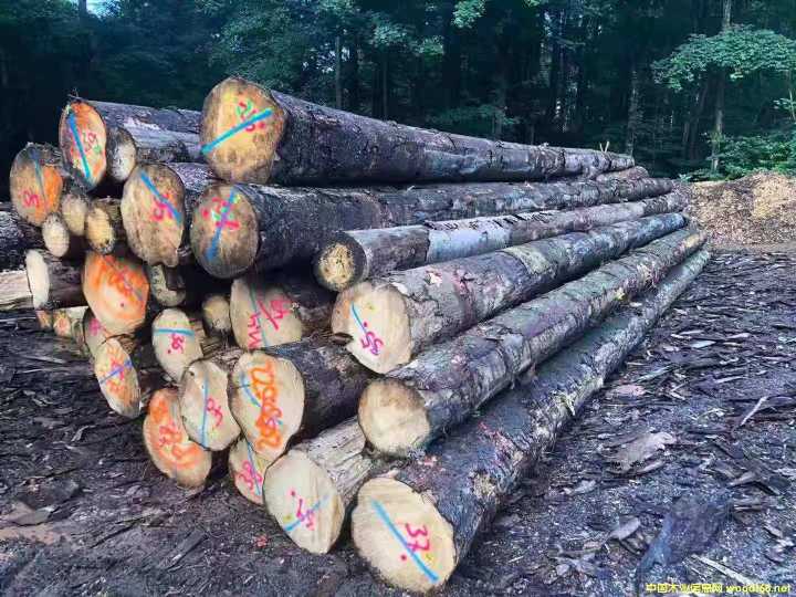 ��(gu��)��ɼ