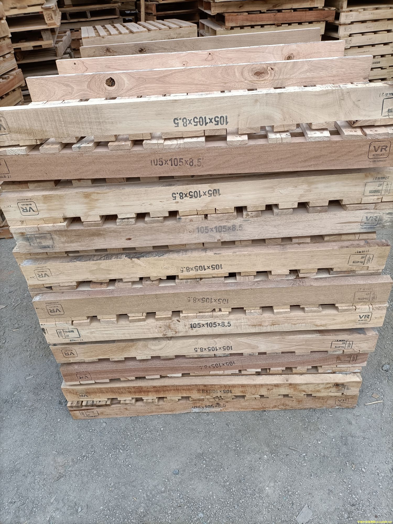 �����M(j��n)���бP(p��n)