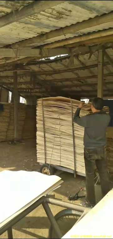  ��Ԕ��(x��)��B