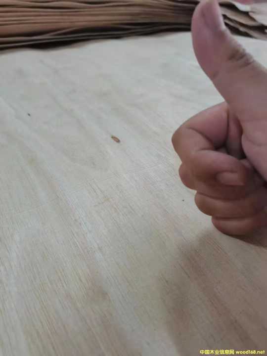  �M(j��n)�����zľ���Іΰ�