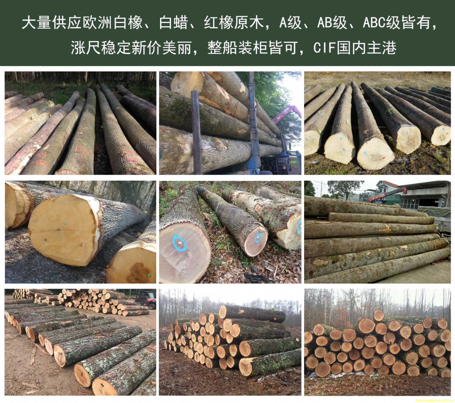 ��(gu��)��Ϟ